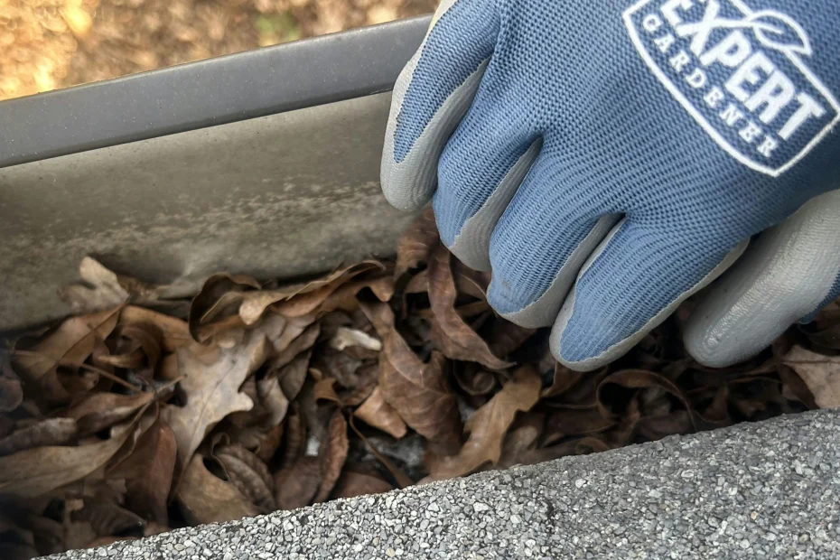 Gutter Cleaning Lake Park FL