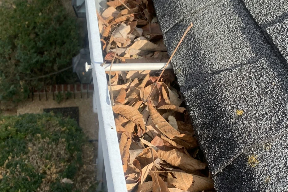 Gutter Cleaning Lake Park FL