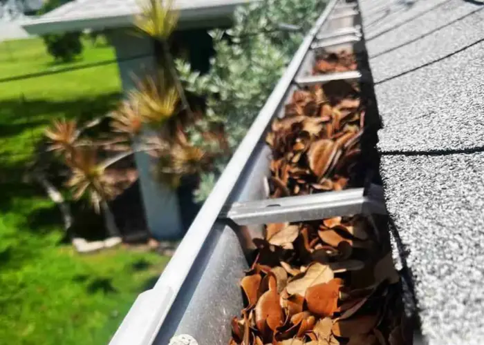 Gutter Cleaning Lake Park FL home page